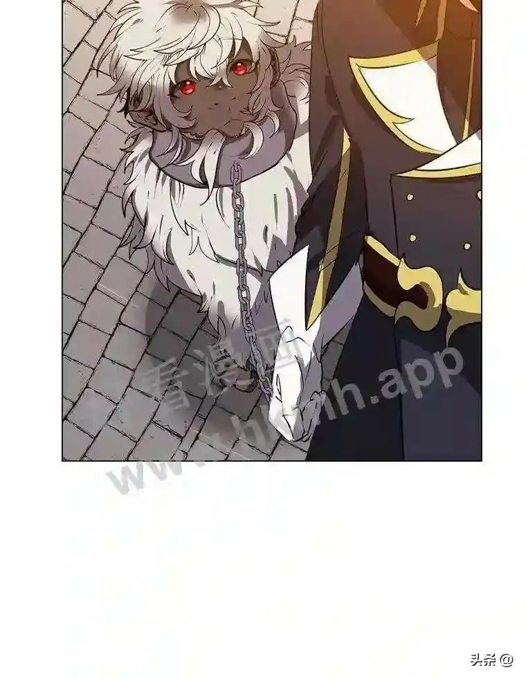 16.第二份委托27
