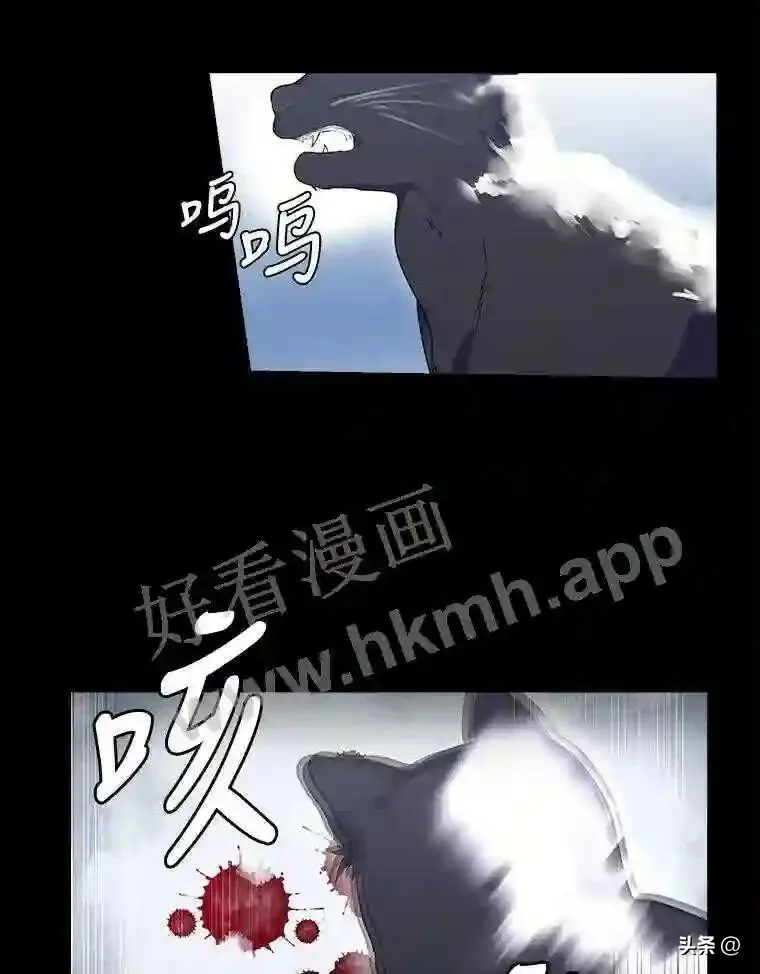1.成人仪式21