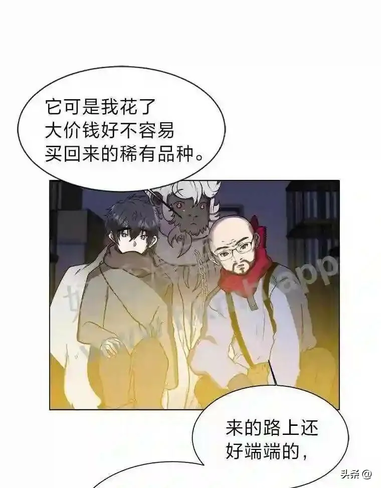 10.冰雪之心29