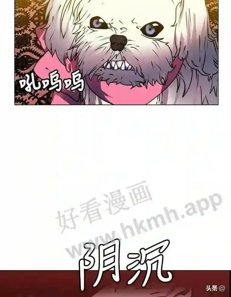 13.第一份委托79