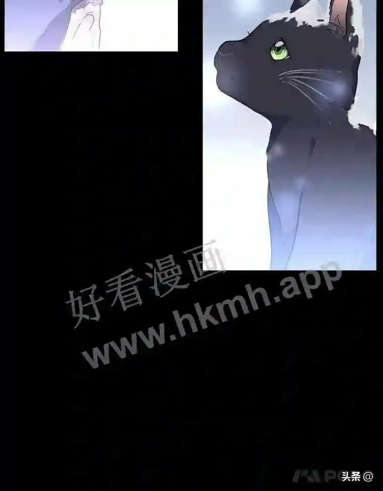 1.成人仪式20