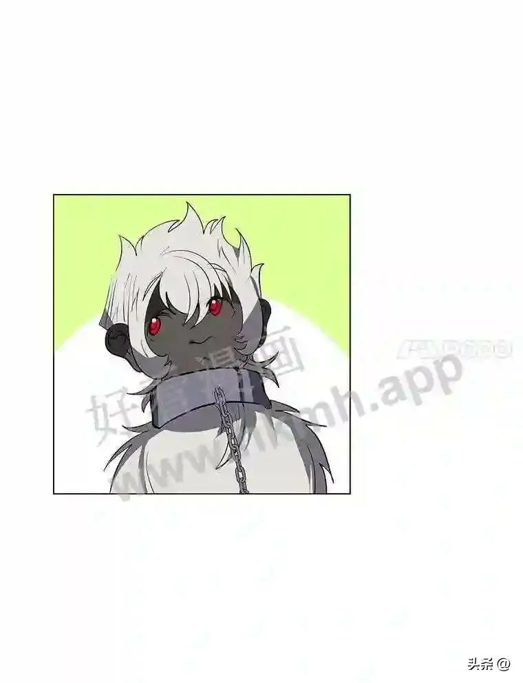 17.商团主人汤普森6