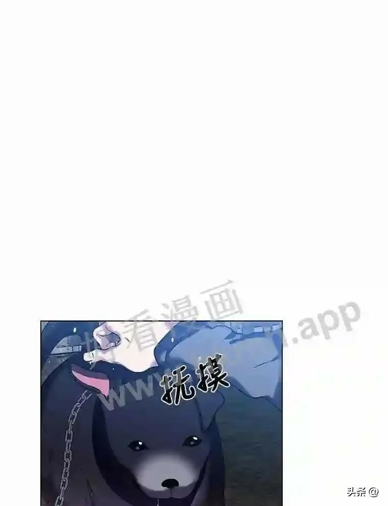 10.冰雪之心12