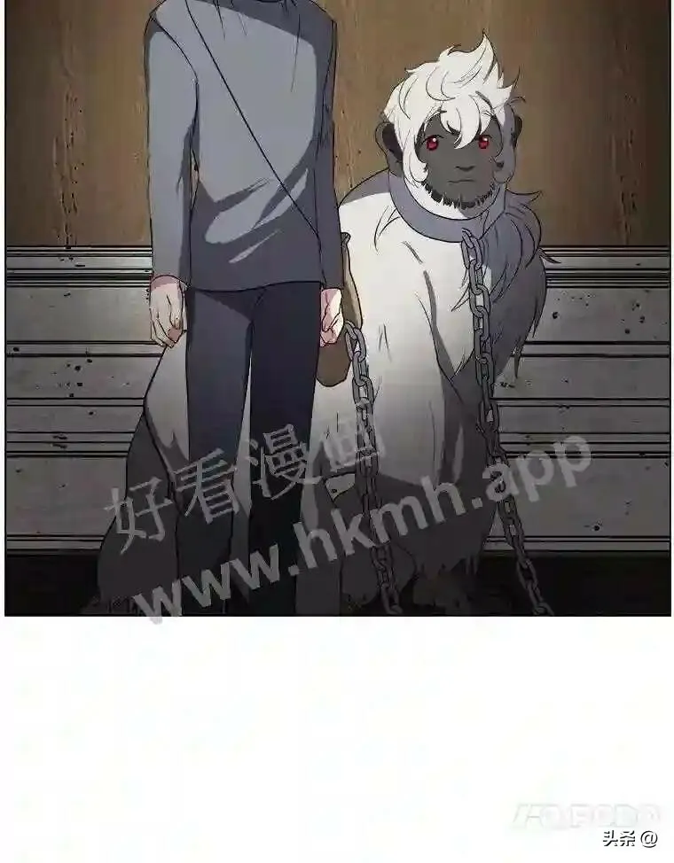 9.应聘公会新人33