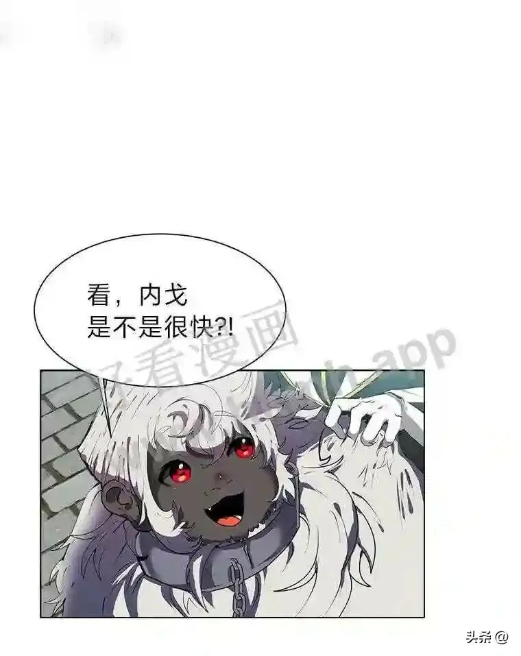17.商团主人汤普森20