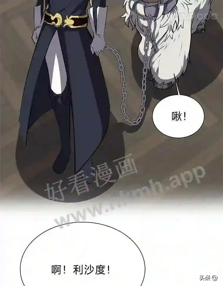 16.第二份委托88