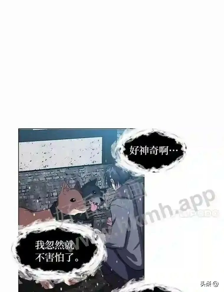 10.冰雪之心14