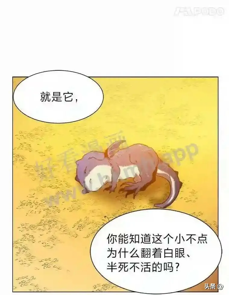 10.冰雪之心28