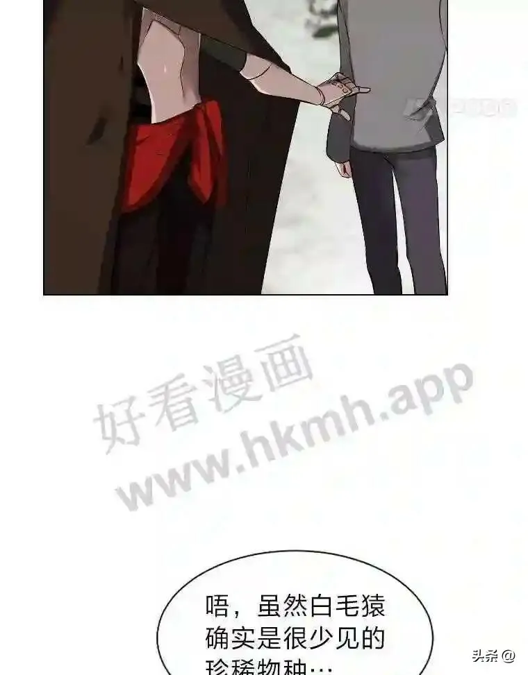 5.白色猛兽53