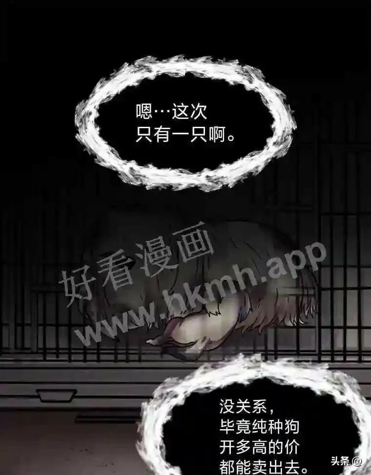 14.希露的恐惧29