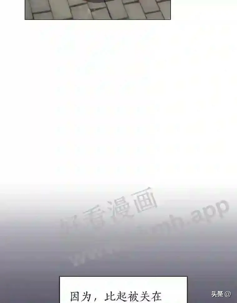 16.第二份委托55