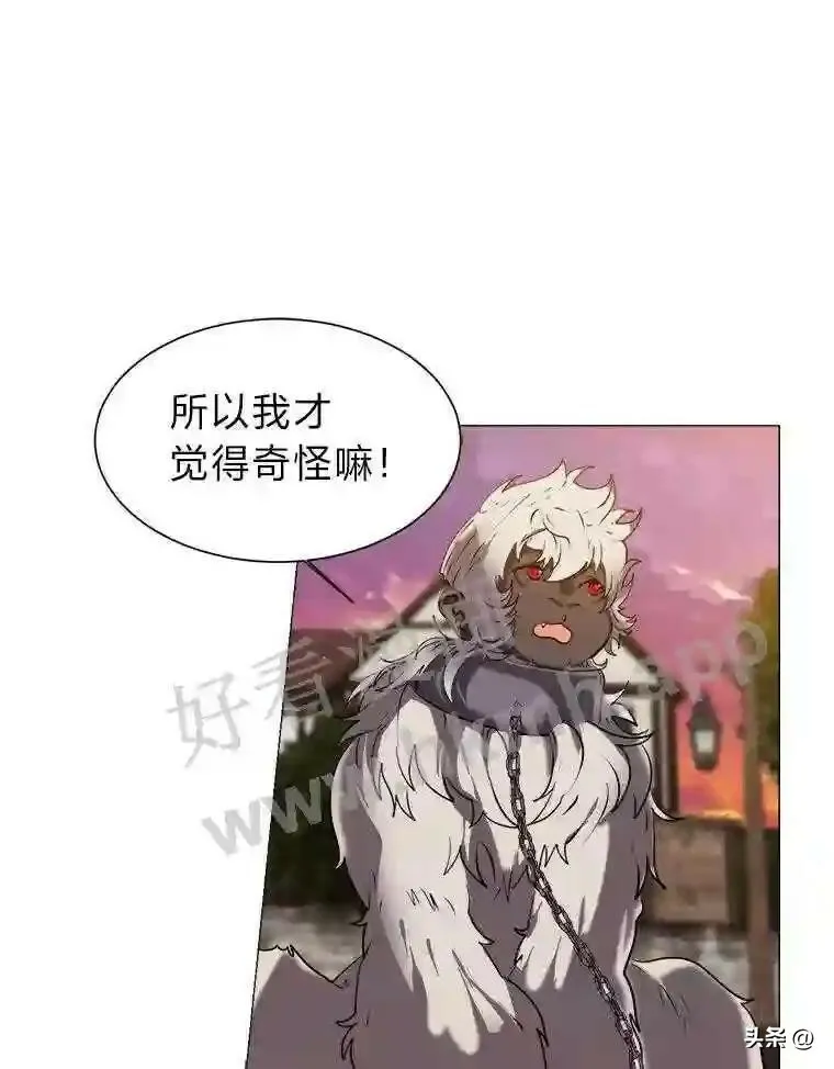 16.第二份委托43