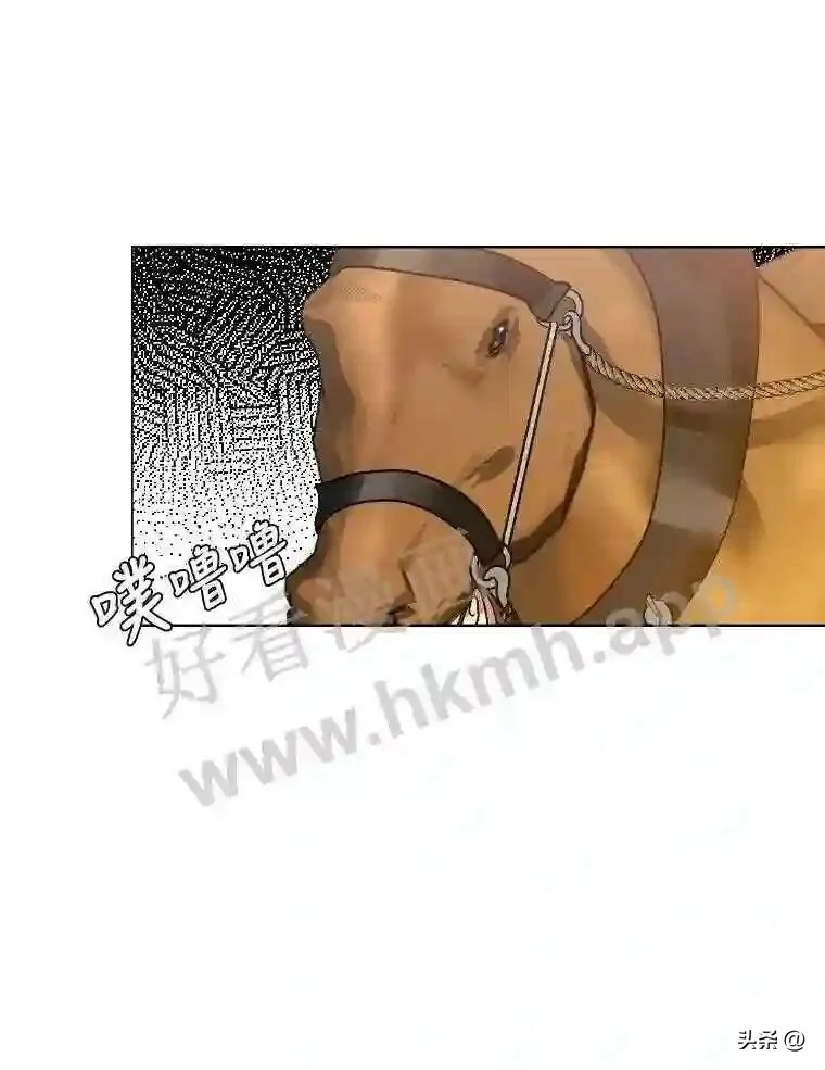 5.白色猛兽10