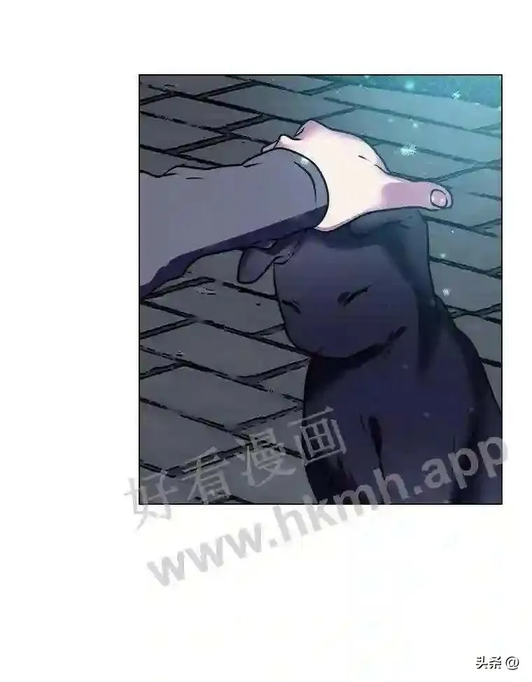 11.加入公会43
