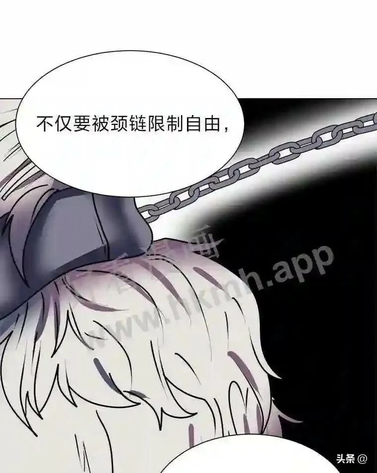 12.新的开始3