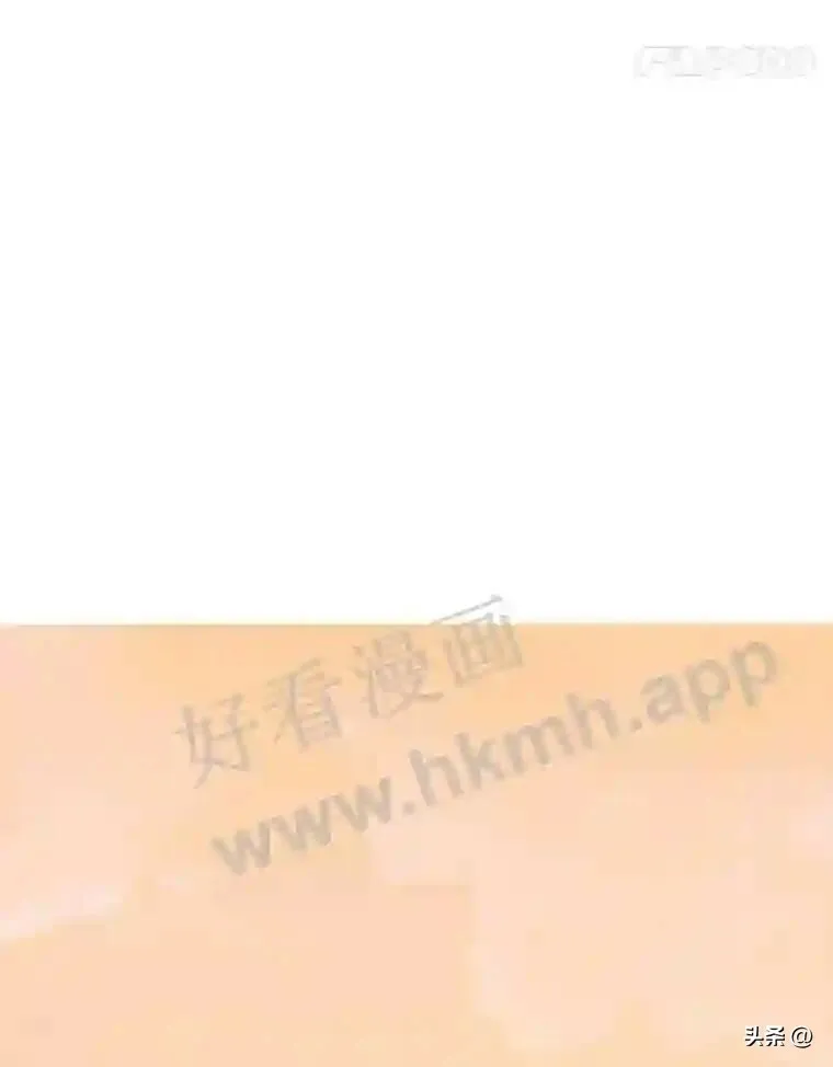 16.第二份委托38