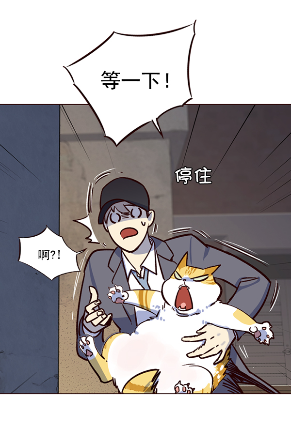 第5话41