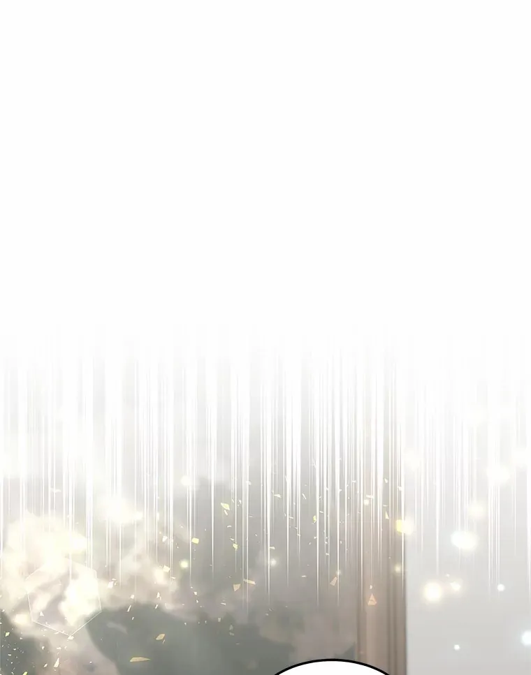 13.他是个贵族？141
