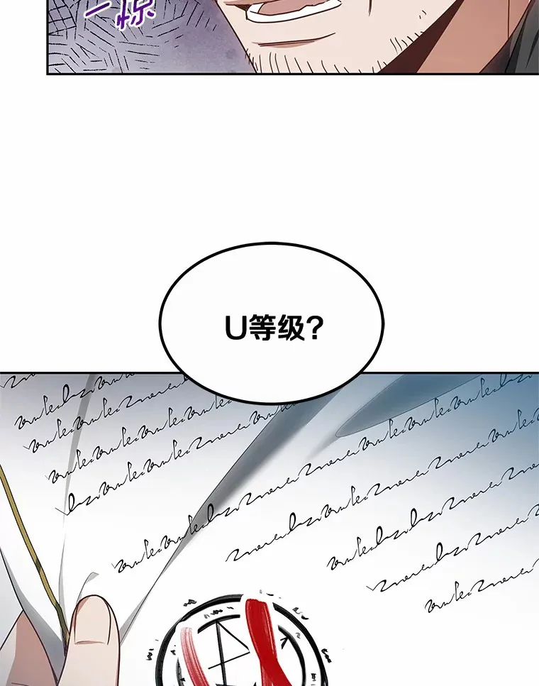 17.“U”等级31