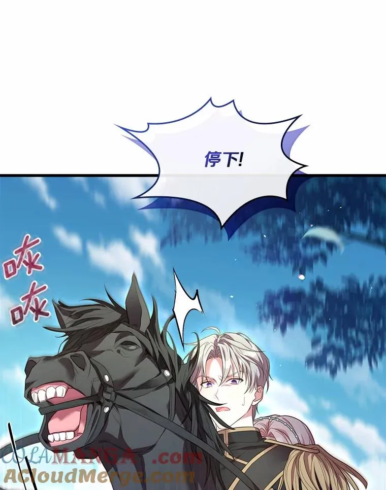 29.正式会面48