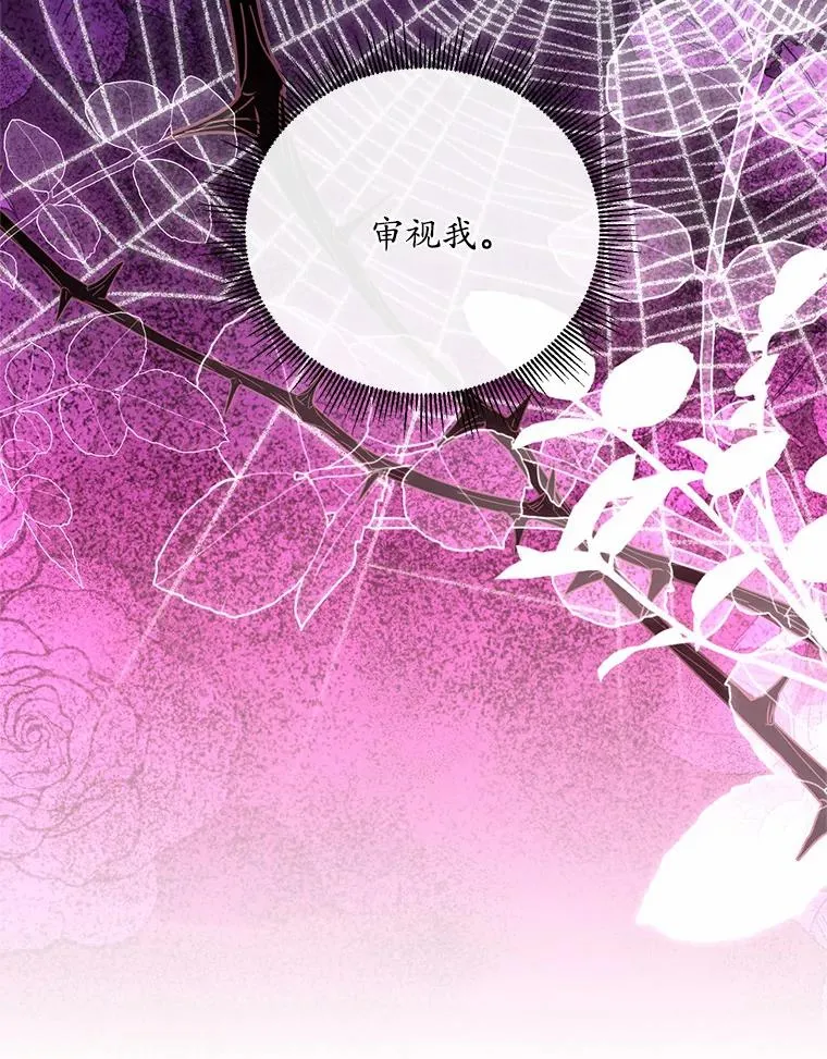 20.教皇登场58