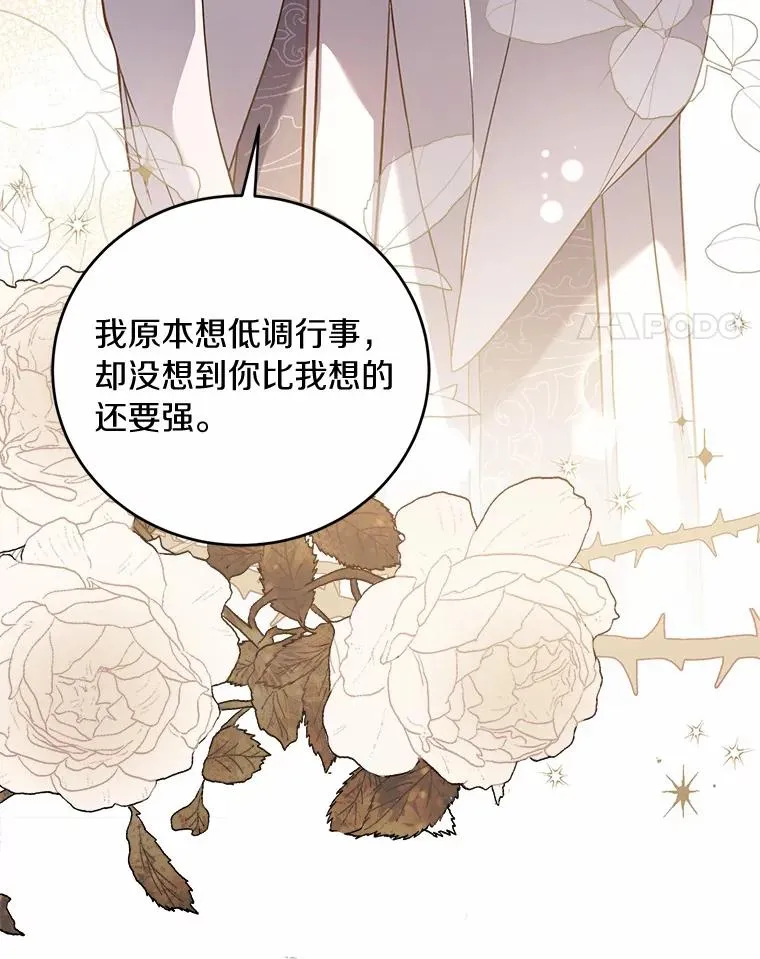 20.教皇登场39