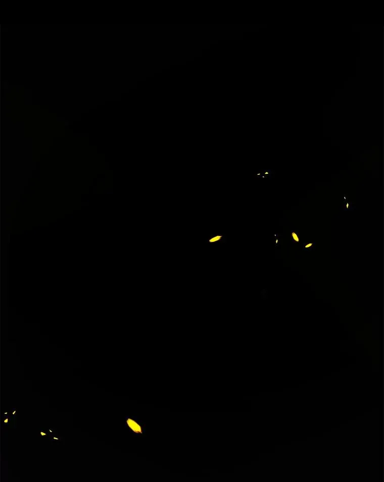 42.惩戒11