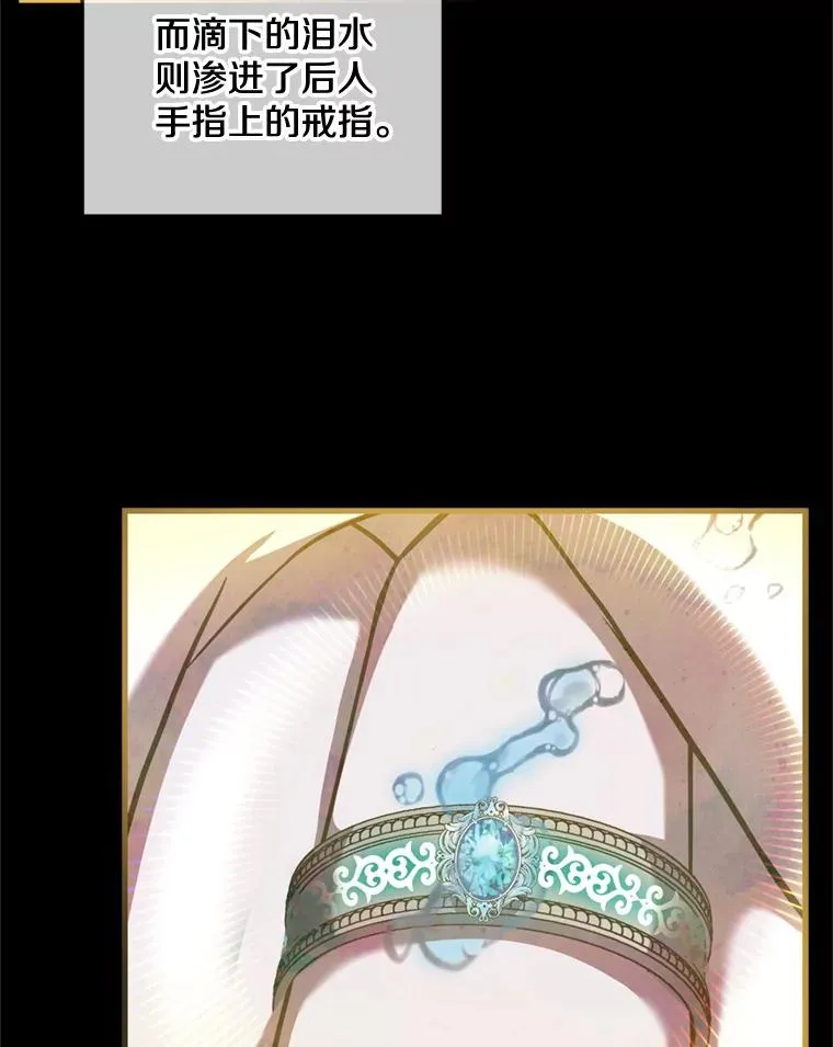 29.精灵的眼泪30