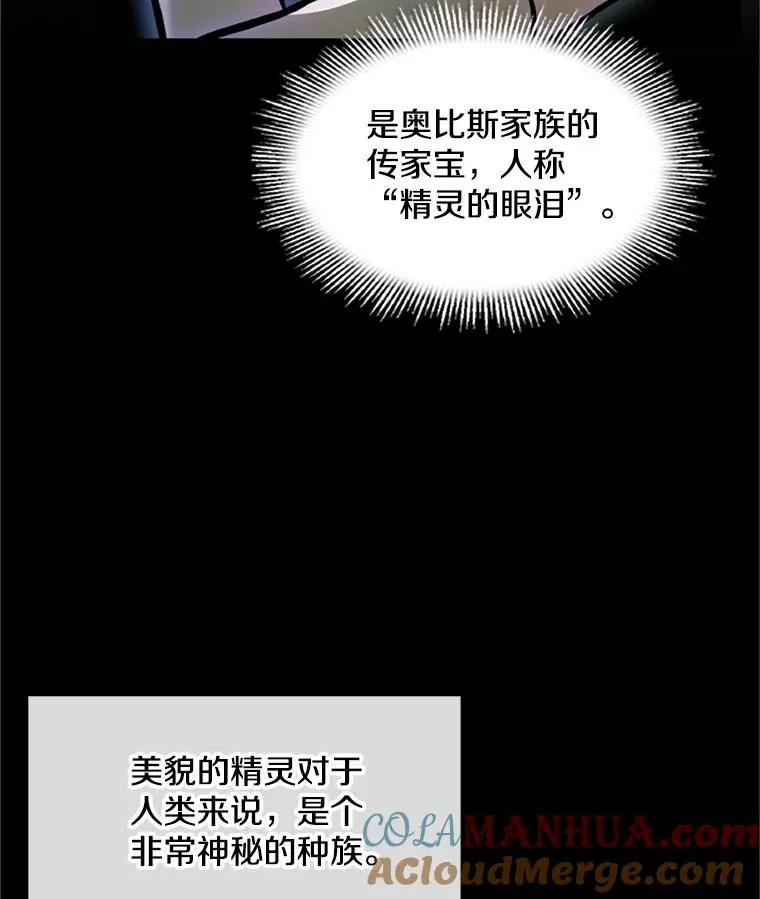 29.精灵的眼泪8
