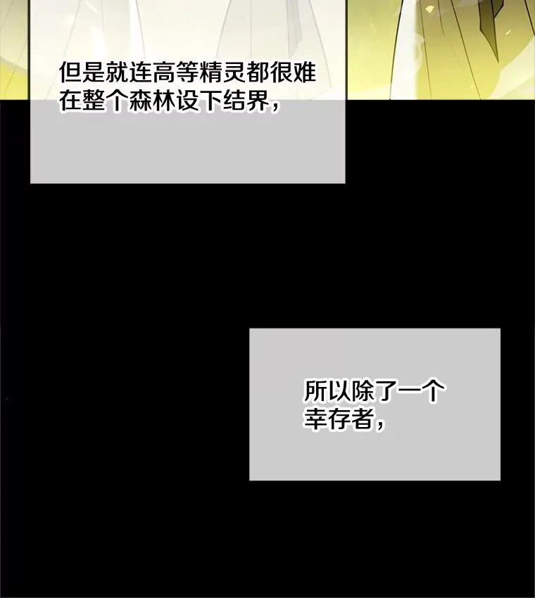 29.精灵的眼泪15