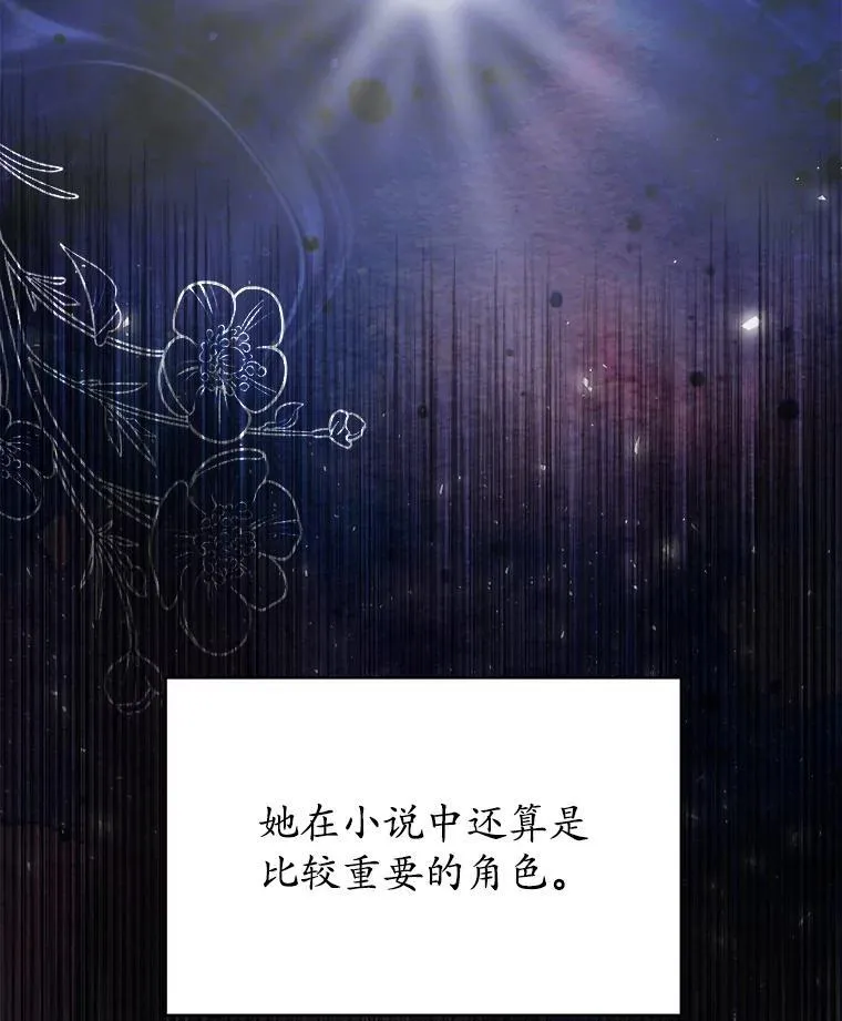 17.布兰卡夫人93