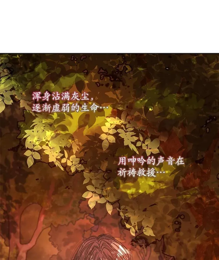 14.等待卡西翁103