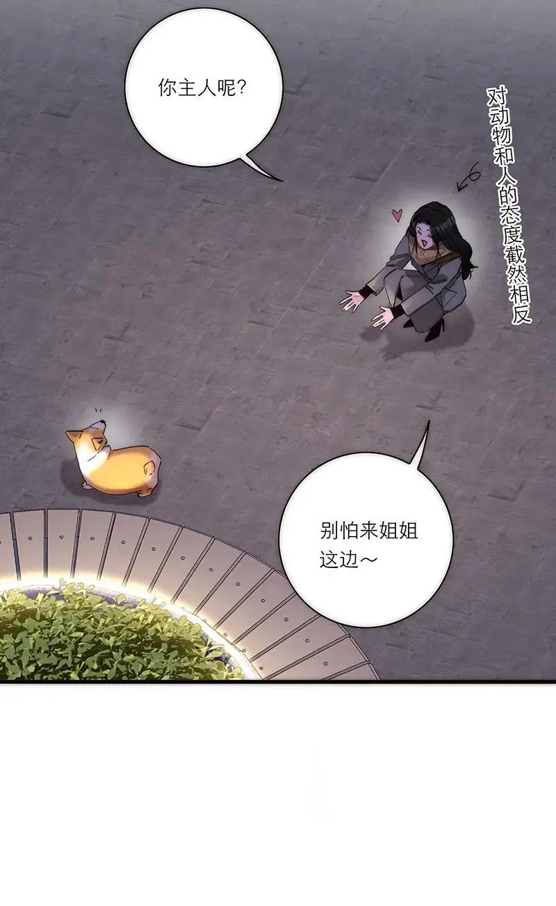 第5话11