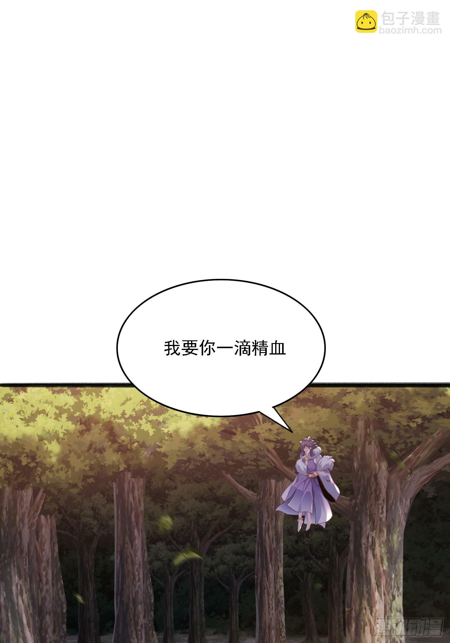 13 蓝狐的要求1
