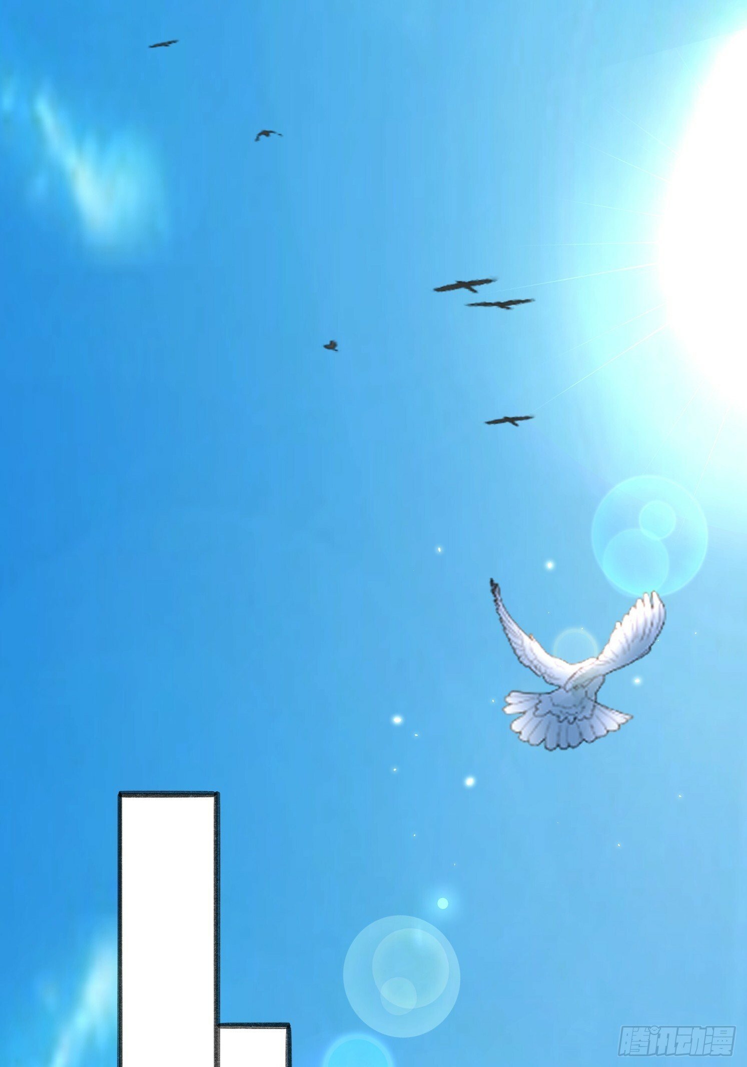 11 石玲珑43