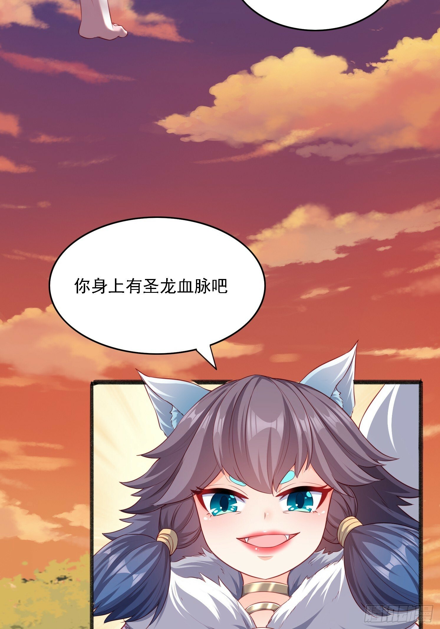 13 蓝狐的要求5