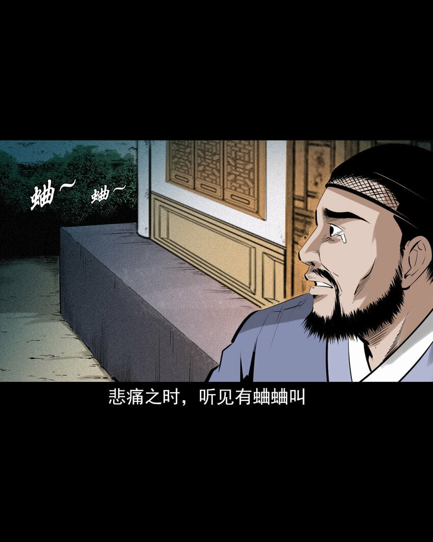 78 第78话神虫41