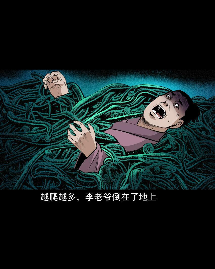 66 第66话蛇仙庙37