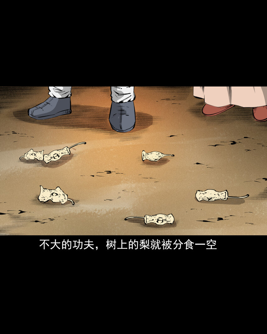 42 第42话仙道种梨34