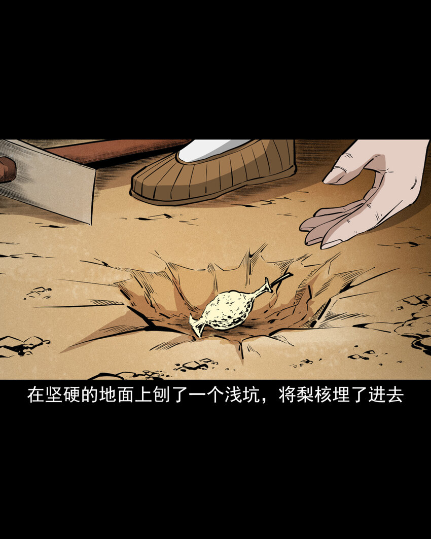 42 第42话仙道种梨19