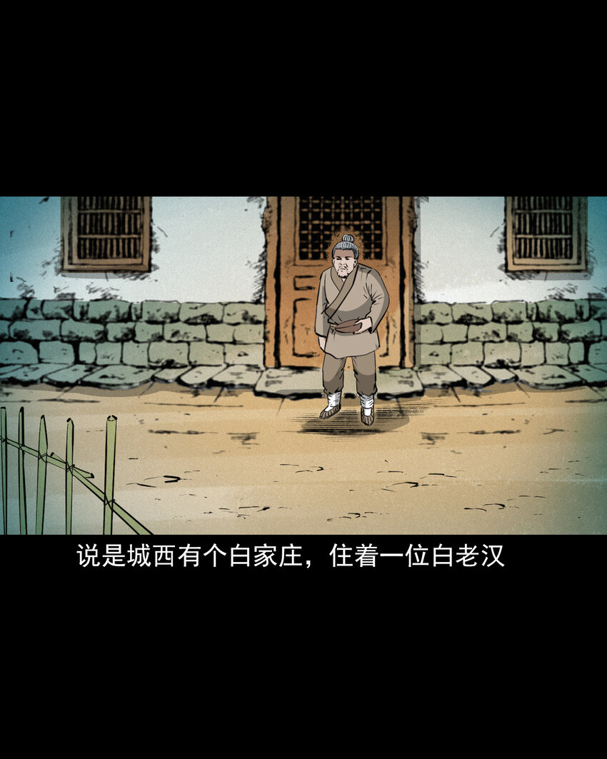 51 第51话小偷变鸭子1