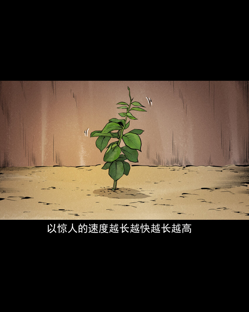 42 第42话仙道种梨27