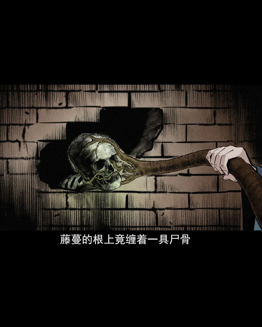 61 第61话美人头42