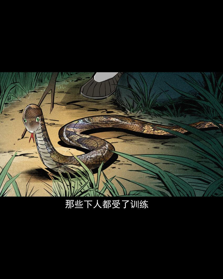 66 第66话蛇仙庙8