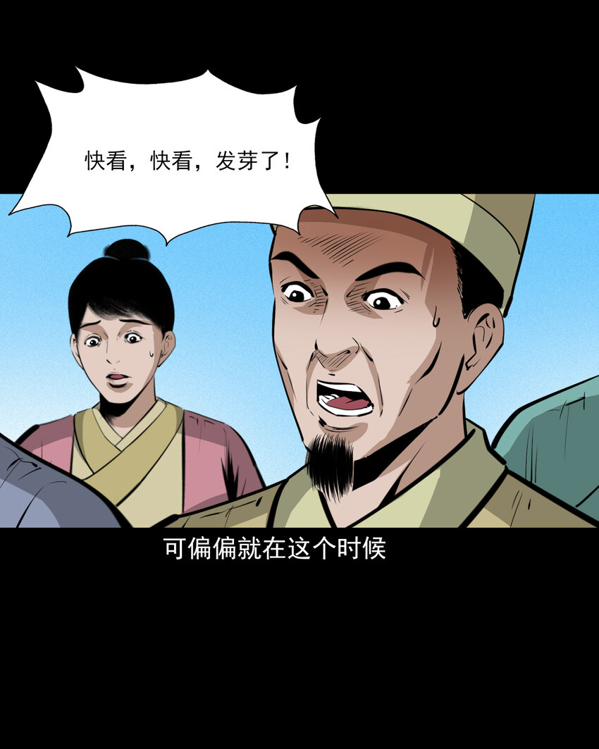 42 第42话仙道种梨25