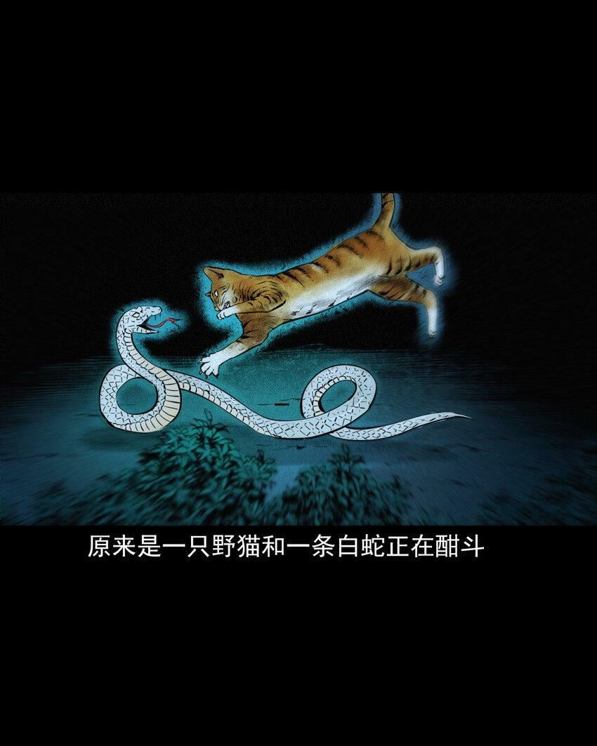 71 第71话蛇妻12