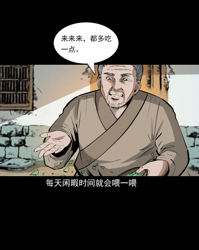 51 第51话小偷变鸭子3