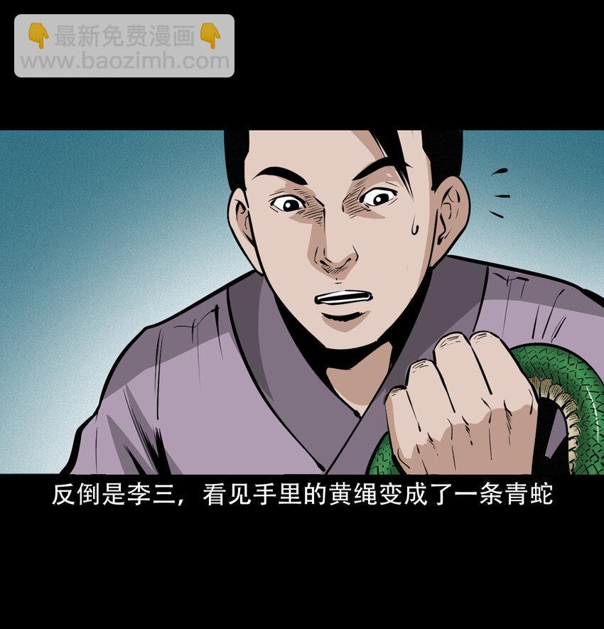 33 奇道士15