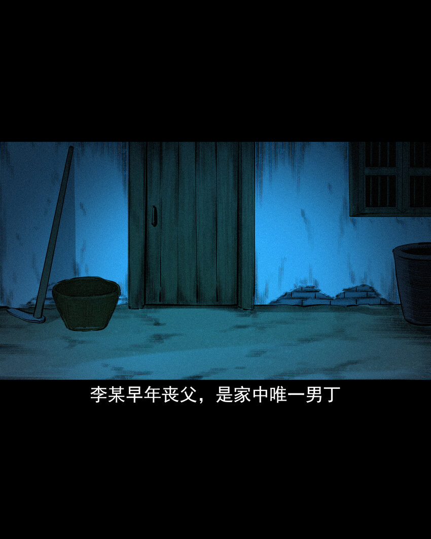 41 第41话寡妇怀泥胎3