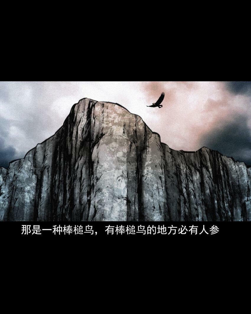 70 第70话千年人参精12